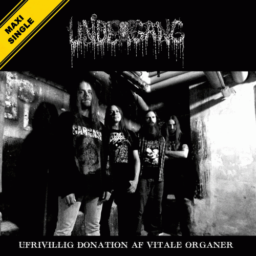 Undergang (DK-2) : Ufrivillig Donation af Vitale Organer